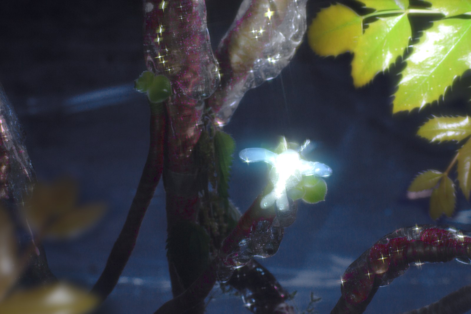 A glowing flower among dark, sparkling stems in a stop-motion set